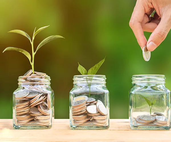 Alternative Investment Funds (AIF)